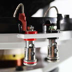 B2 Audio RIOT 15D2 V2, 15 tum baselement