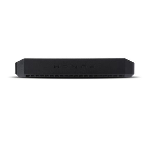 Rockford Fosgate P1000X2