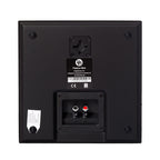 DLS Flatbox Mini on-wall högtalare i mattsvart, styck
