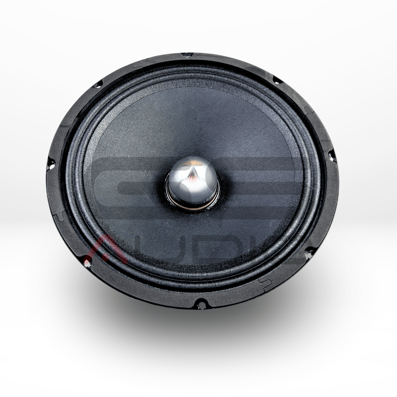 GS Audio Platinum FLAT MK2 10"