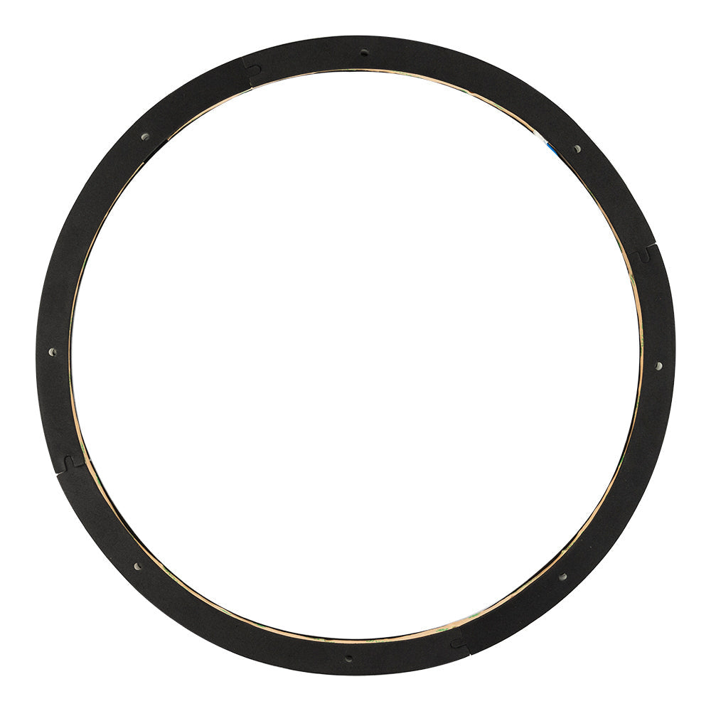 DS18 LRING15, 15tums RGB LED-ring för högtalare/basar
