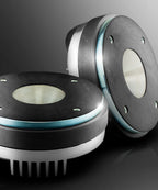 DS18 PRO-D1F, tung 2tums driver med fenolmembran