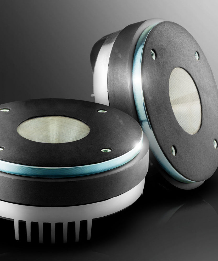 DS18 PRO-D1F, tung 2tums driver med fenolmembran