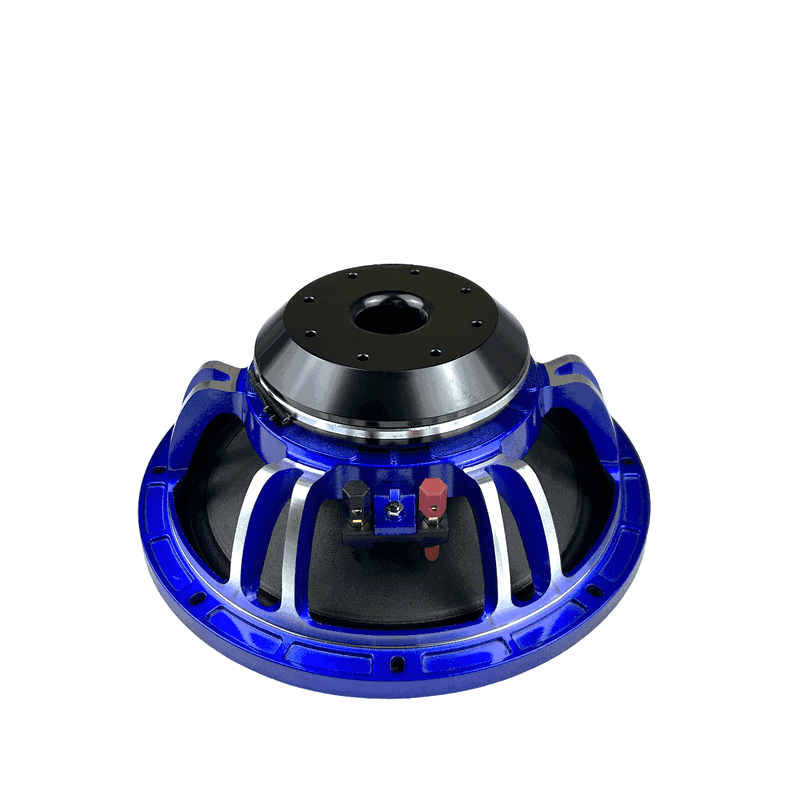 GS Audio Voce NEO 10" XL