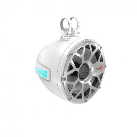 Cerwin Vega SH10F4W