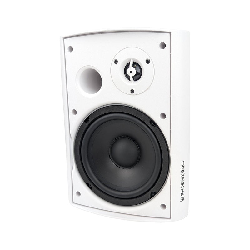 Phoenix Gold ZM6SW - 6.5″ 165mm 2-Way Weatherproof Speaker