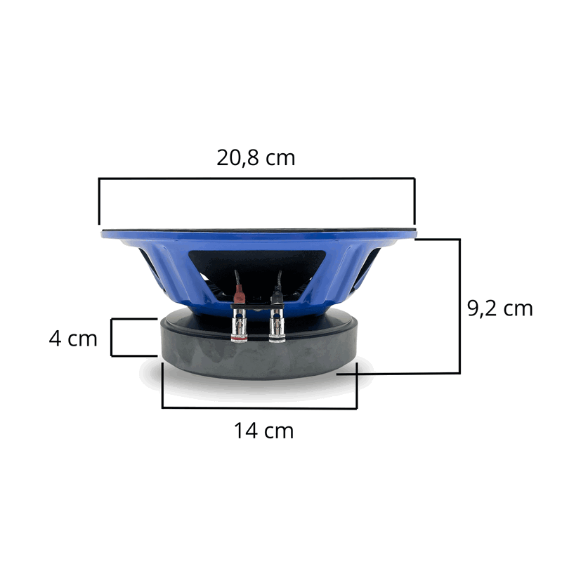 GS Audio RAVE 8"