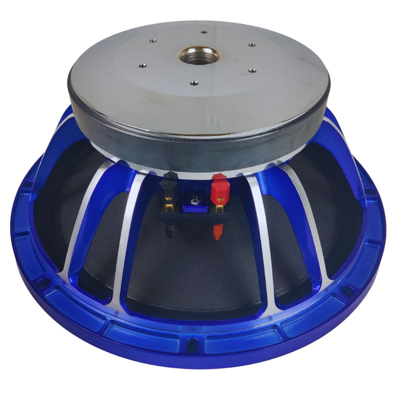 GS Audio Voce 12"