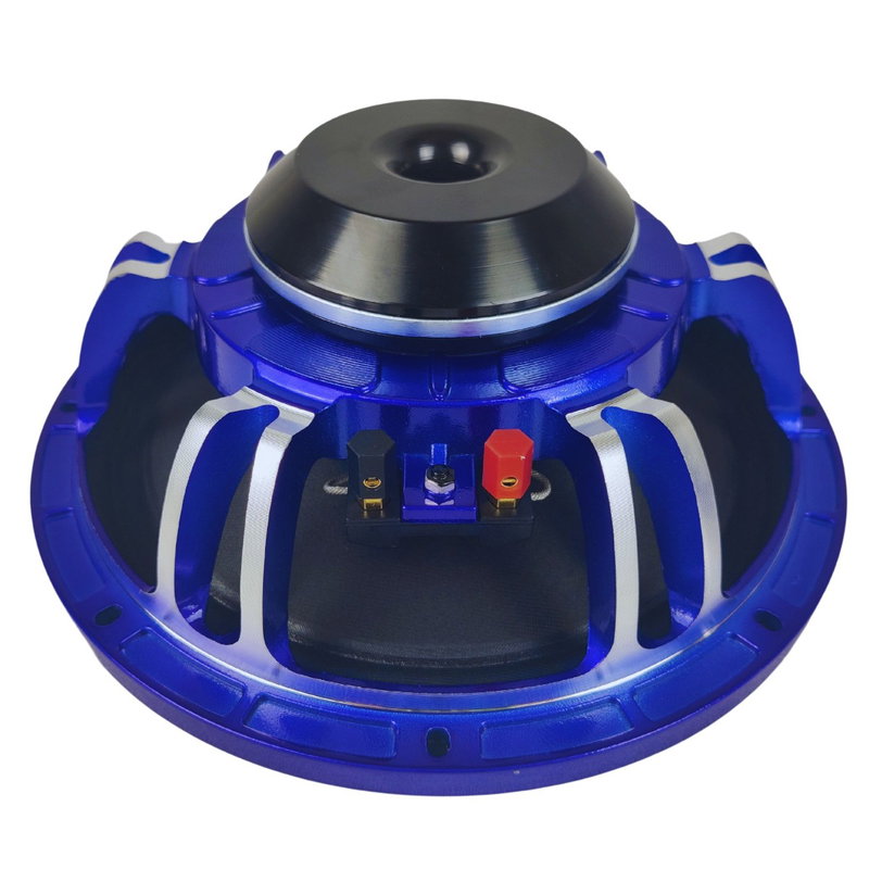 GS Audio Voce 10" NEO