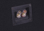2-pack DLS RCW12.D2 i låda med GAS MAX A2-2500.1DL, baspaket