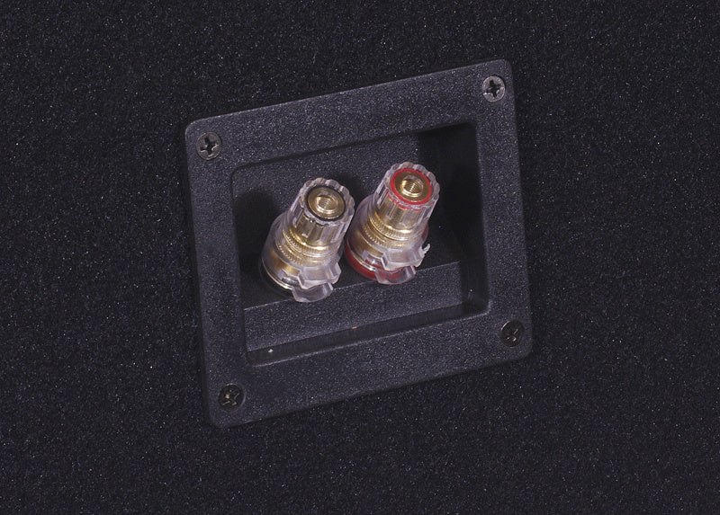 2-pack DLS RCW12.D2 i låda med GAS MAX A2-2500.1DL, baspaket