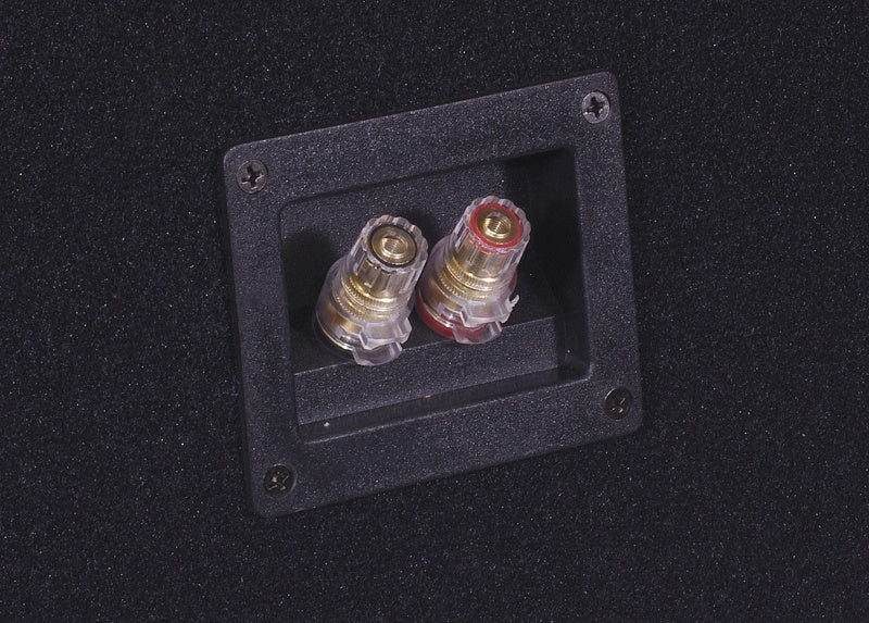 Portad 2x12 tum baslåda med 2st DS18 ZXI12.2D