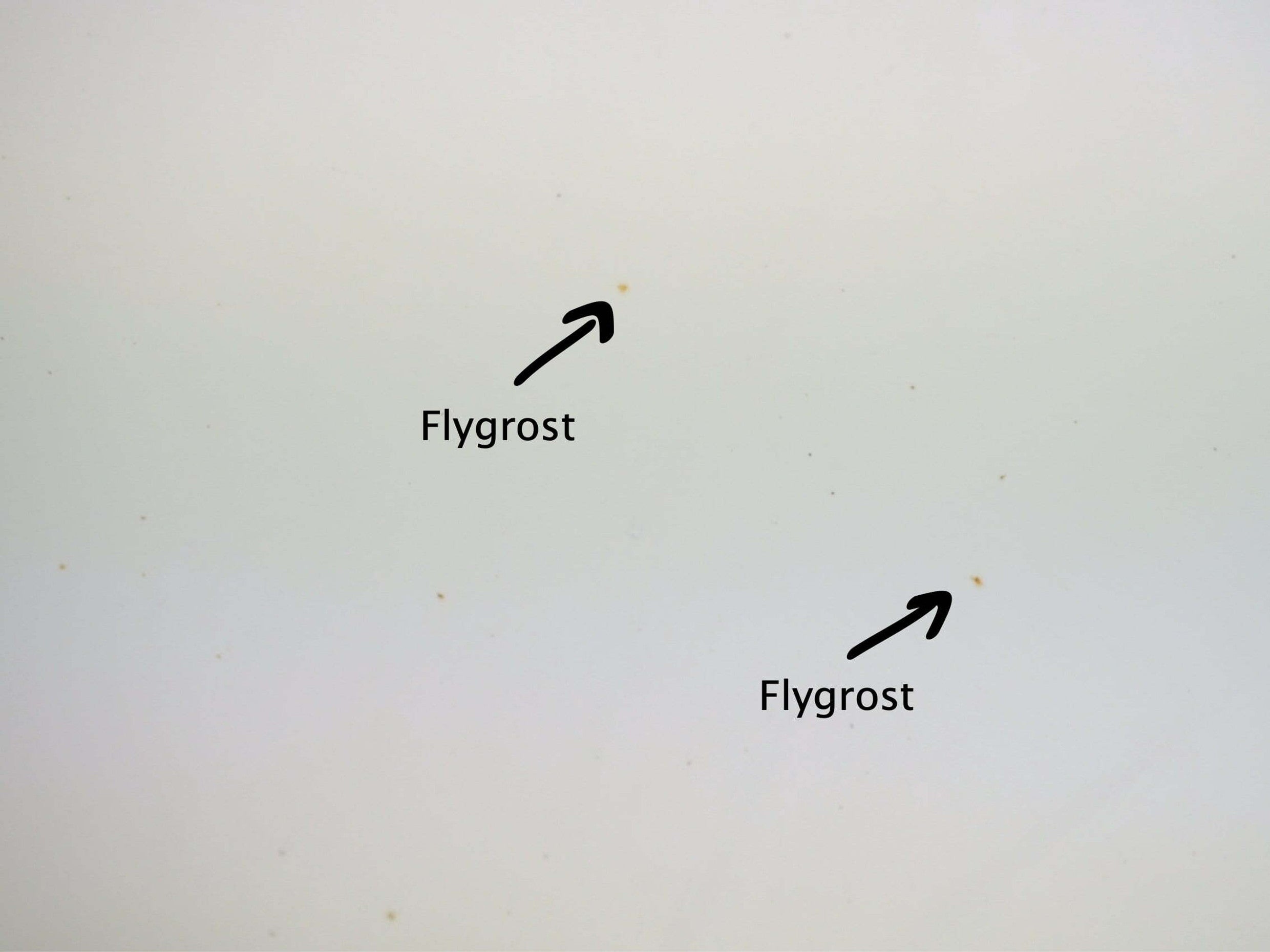 W1 Flygrostmedel 500ml