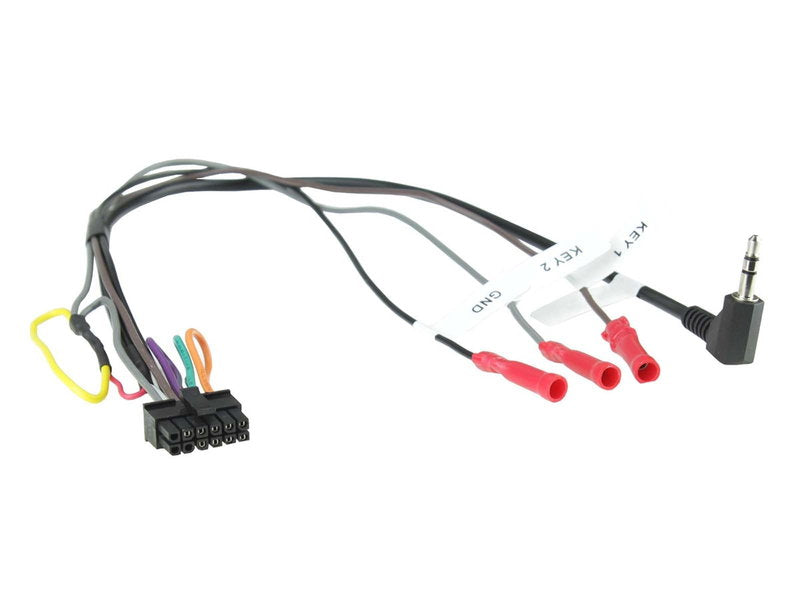 CTMULTILEAD.5