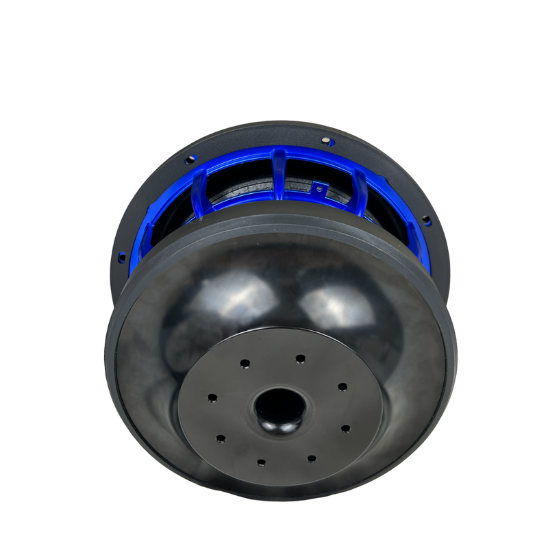 Gs Audio Platinum 10" V2