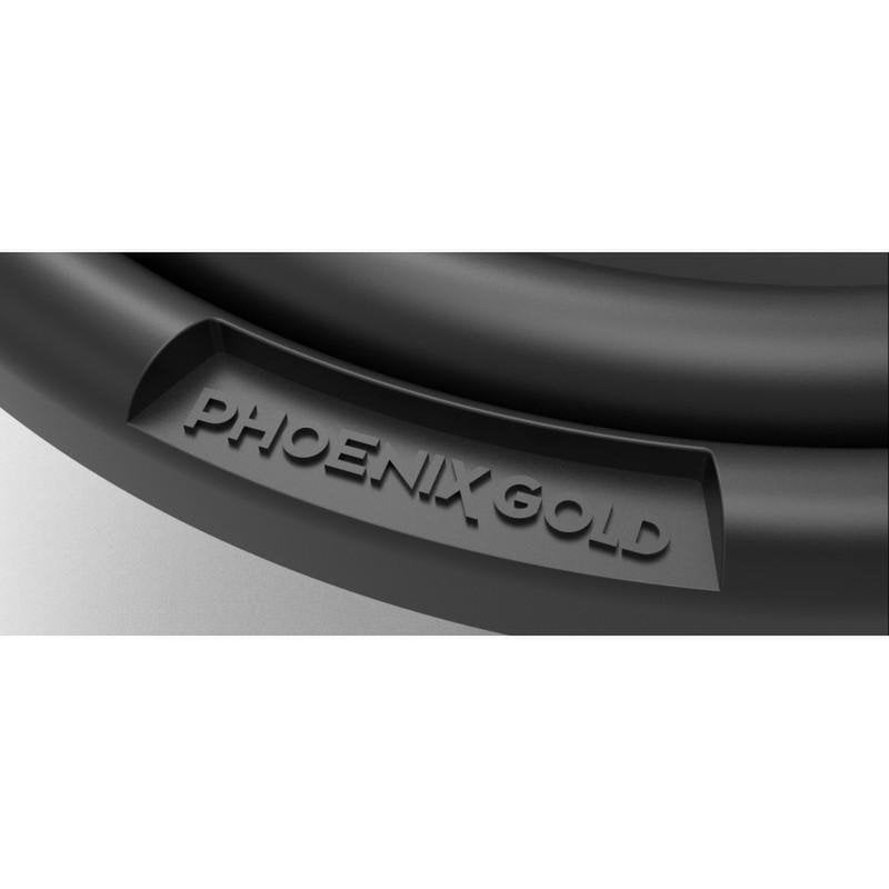 Phoenix Gold RX2 12S